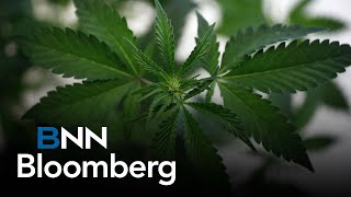 Weve got what we need in flower and facilities Tilray CEO on growing market share with Hexo deal [upl. by Gannon]