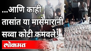 या १५७ माशांसाठी सव्वा कोटीची बोली का लागली Palghar Fisherman Sells 157 Ghol Fish For Rs 133 Crore [upl. by Ridglea447]