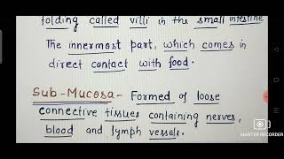 Basic layers of Alimentary Canal Ch16 Digestion and Absorption CLASS 11 BIOLOGY [upl. by Winifield]