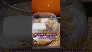 A Camphor Infusion to Clear Negative Energy camphor camphorbenefits cleansingwater [upl. by Nairb]