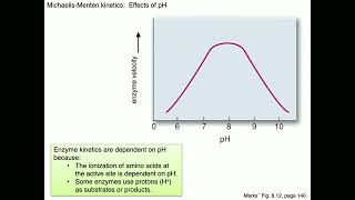 Medical Biochemistry Enzyme Kinetics Skildum [upl. by Ttezil563]