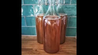 Kombucha Tea  Making Lemon Ginger Flavored Kombucha Tea [upl. by Yv]