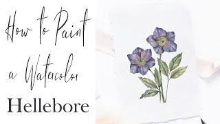 How to Paint a Realistic Watercolor Flower  Hellebore Botanical Painting [upl. by Ros]