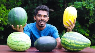 തണ്ണിമത്തൻ വാങ്ങുന്നതിന് മുമ്പ് ഇതൊന്ന് കാണൂ🙄🍉 5 TYPES OF DIFFERENT WATERMELON  MUST WATCH [upl. by Cimah]