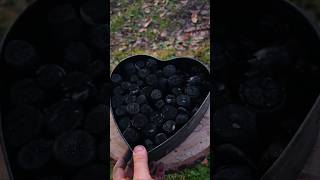 Making Natural Charcoal bushcraft survival lifehacks campfire [upl. by Jerome851]