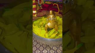 lakadi ki kati kati ka ghoda ladddugopal [upl. by Arlyn700]