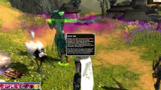 Lets Play Guild Wars Factions SIGHTLESS  Episode 12 Zen Daijun [upl. by Ilecara]