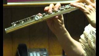 Pearl PF761 Flute Used  Offset G Split E  Mid to Low Range [upl. by Enyalb]