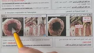 labsorption intestinale 3AC الامتصاص المعوي [upl. by Delia]