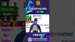 간호조무사 취업 대비 의학용어 기초 강의 국제알버트슈바이처재단 인증 수료증까지 [upl. by Nerehs145]