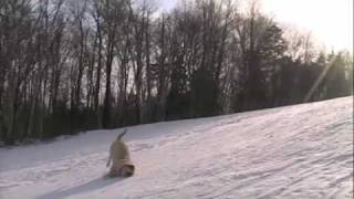 Sugarbush Dog Groomers [upl. by Shelli]