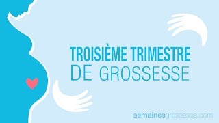 Troisième trimestre de grossesse  La grossesse trimestre par trimestre [upl. by Anaili]