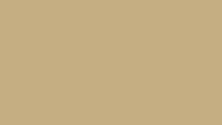 Pantalla beige  Beige screen 15 minutes [upl. by Sibyls]