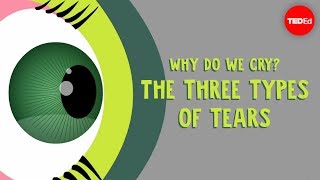 Why do we cry The three types of tears  Alex Gendler [upl. by Elwina713]