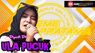 ULA PUCUK ❗ VOC DIYANTI DY  LIVE INDRAA JAYA DUWE GAWE FEAT NEW XTREME PRATAMA  PILANGPAYUNG [upl. by Ayokahs]