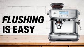 How to Flush The Breville Barista Pro [upl. by Alburga]