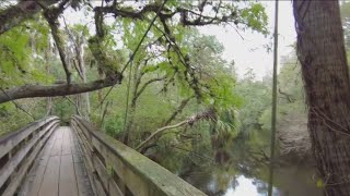 Explore the Historic Hillsborough River in Thonotosassa [upl. by Crifasi]