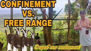 GOAT RAISING UPLAND  GOAT CONFINEMENT VS FREE RANGE EXPLANATION [upl. by Dranreb]