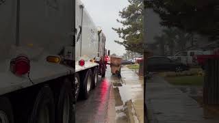 Amrep on a Rainy day garbagetruck [upl. by Nylisoj219]