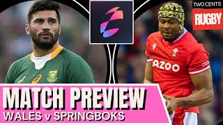 Wales v Springboks Preview  Autumn Nations Series Rugby  2024 [upl. by Adnuhser]