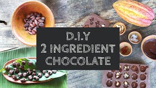 How to Make Chocolate from Cacao Nibs [upl. by Ettenom102]