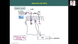 CLASE 13 44 VITAMINAS Y OLIGOELEMENTOS [upl. by Dnalyram]