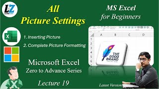 19 Complete Picture Settings in MS Excel  Free Course for Beginners in Urdu Hindi excel teacher [upl. by Tullius]