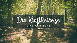 Finde dein KRAFTTIER  Eine Anleitung für die SCHAMANISCHE REISE [upl. by Haldan]