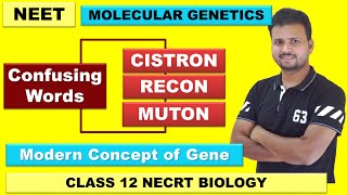 CISTRON  RECON  MUTON  Concept of Gene  Genetics Class 12  Molecular Biology  NEET 2023 [upl. by Etnuad626]