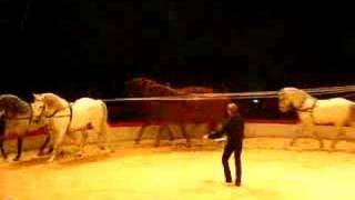 Gaby Dew horse act Christmas Circus in Ahoy Rotterdam [upl. by Hedgcock339]