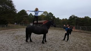 Surfing 🏄 on a horse friesian horse [upl. by Rolat]