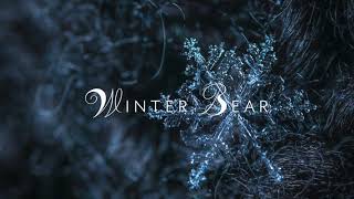 quotWinter Bearquot by V  Orchestral Cover [upl. by Aurita]