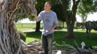 Driftwood Sculpture Process Matt Torrens [upl. by Sivahc]