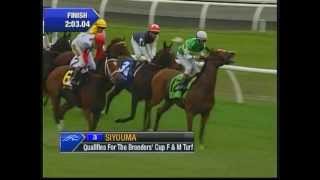 2012 E P Taylor Stakes  Siyouma [upl. by Ydnelg]