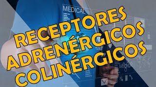 RECEPTORES ADRENÉRGICOS Y COLINÉRGICOS [upl. by Otit24]