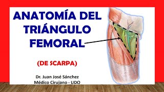 🥇 TRIÁNGULO FEMORAL Triangulo de SCARPA Fácil y Sencillo [upl. by Judith]