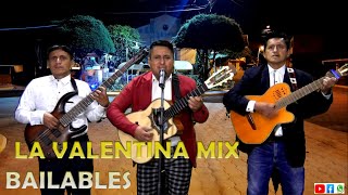 La Valentina mix Bailables  Grupo Musical Los Medina [upl. by Klehm702]