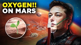 How Humans Will Get Oxygen on Mars [upl. by Alfredo]