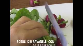 Pesto di ravanelli [upl. by Esimorp]