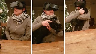 Mum Grabs Dogs Butt While Using VR Headset [upl. by Strohbehn529]