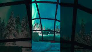 5 Reasons to Stay in Finland’s Glass Igloos for the Northern Lights [upl. by Warde]