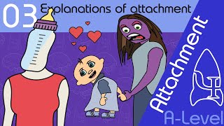 Explanations of attachment  Attachment ALevel Psychology [upl. by Skinner]