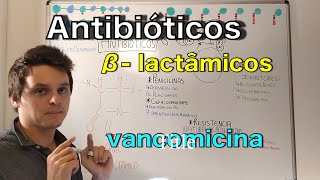 Antibióticos PenicilinaVancomicina e CefalosporinaCurso de bacteriologia Medicina passo a passo [upl. by Anirbaz]