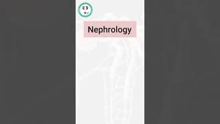 Urology  Nephrology  Kidney stone  Vedanayagam Hospital [upl. by Fenner694]