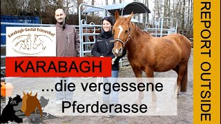 Gestüt Friesenhof KARABAGH die fast vergessene Pferderasse [upl. by Adrell]