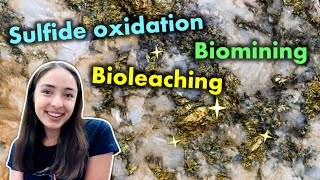 Bioleaching MineralDissolving Bacteria Help us Obtain Valuable Metals but Produce AMD  GEO GIRL [upl. by Repsihw927]