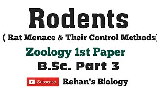 Rodents Rat Menace amp its Control BSc Part 3 Zoology 1st Paper Rehans Biology [upl. by Dorraj]