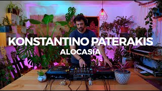 Alocasia TV Santiago  Konstantino Paterakis Dj Set  minimal house [upl. by Luamaj853]