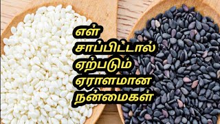 Ellu benefits Tamil  Ellu benefits in tamil  ellu benefits  Tamil Samayal Madurai  health tips [upl. by Esinert]