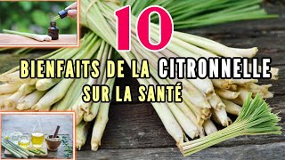 La citronnelle  Comment vous soigner [upl. by Tonnie]